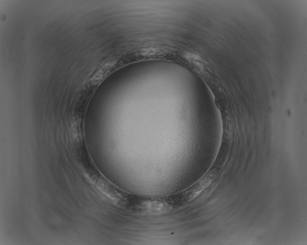 X0000077330272200611031738