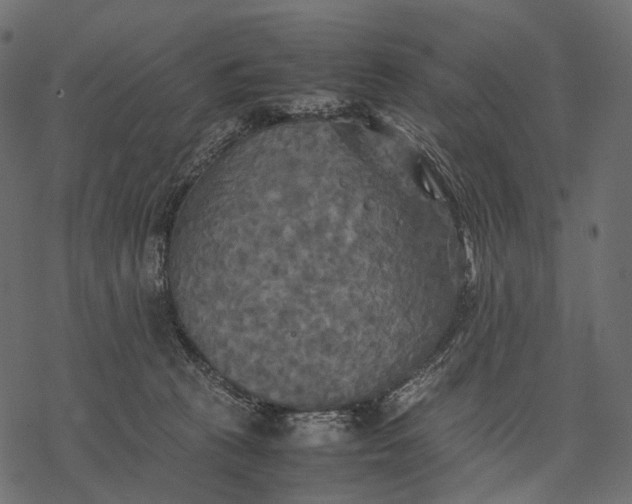 X0000077330273200611031738