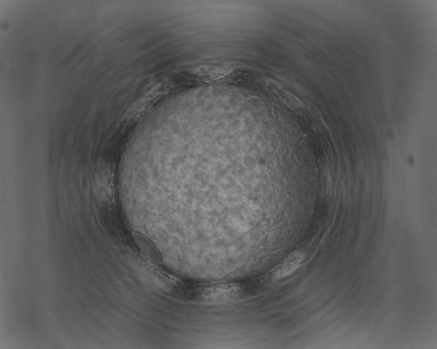 X0000077330274200611031738