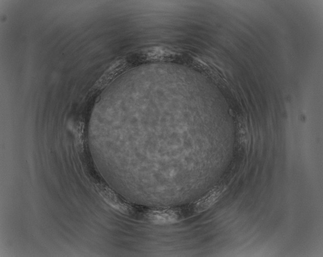 X0000077330275200611031738