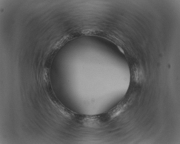 X0000077330280200611031738