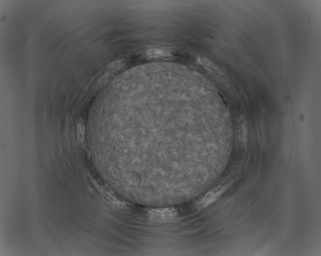 X0000077330281200611031738