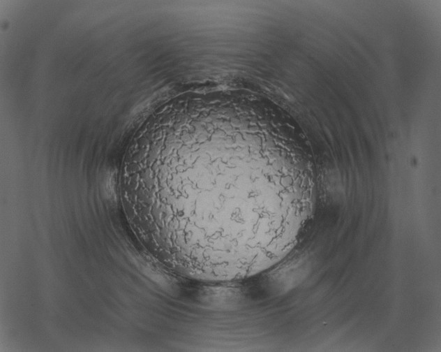 X0000077330286200611031738
