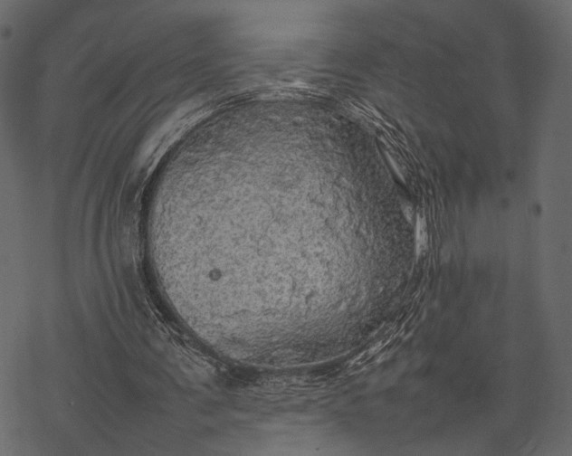 X0000077330291200611031737