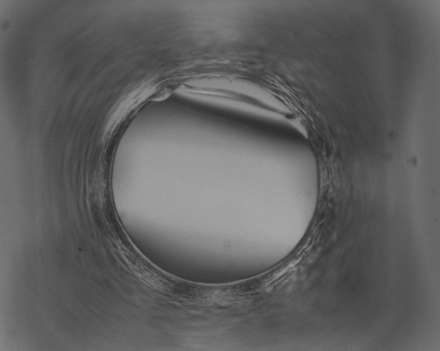 X0000077330293200611031737