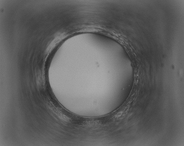 X0000077330296200611031737