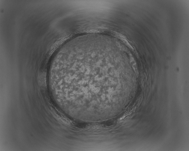 X0000077330299200611031737