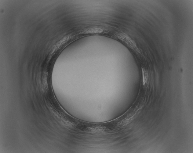 X0000077330300200611031737