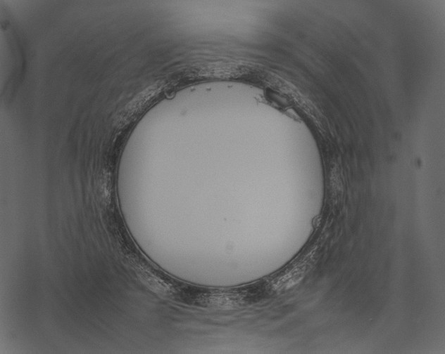 X0000077330305200611031737