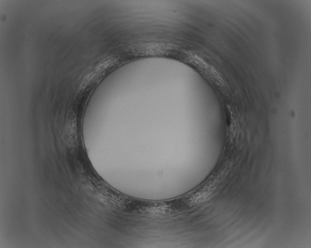 X0000077330306200611031737