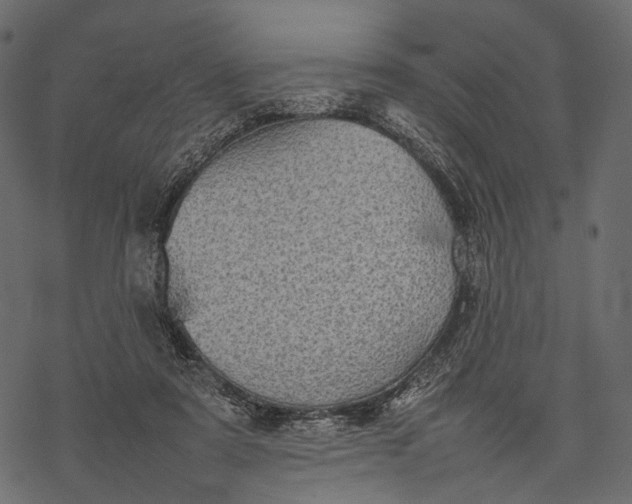 X0000077330307200611031737