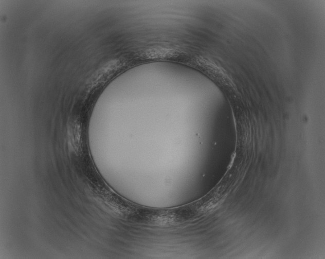 X0000077330308200611031737