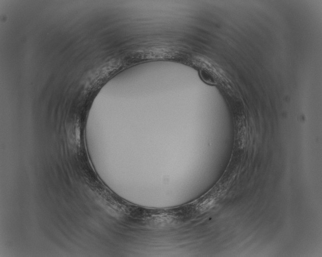 X0000077330310200611031737