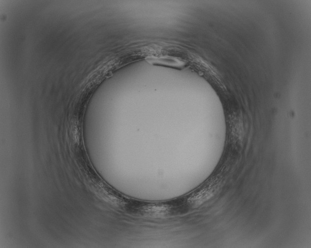 X0000077330313200611031737
