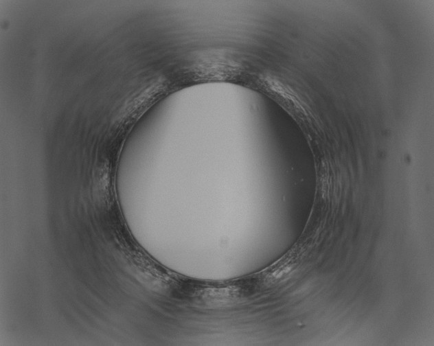 X0000077330314200611031737