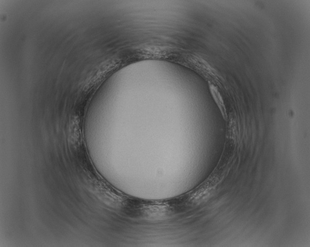 X0000077330318200611031737