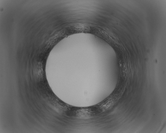 X0000077330320200611031737