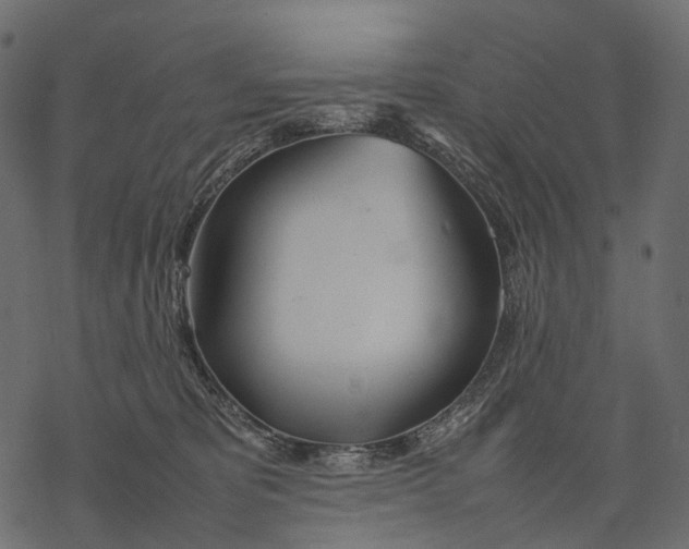 X0000077330325200611031737