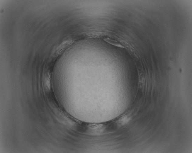 X0000077330334200611031737