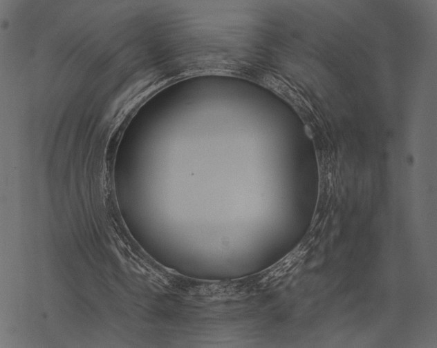 X0000077330338200611031736