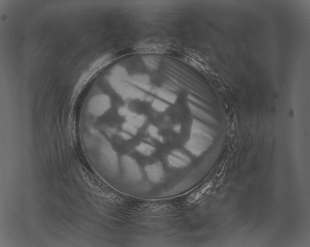 X0000077330343200611031736