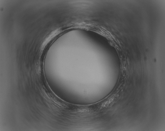 X0000077330344200611031736