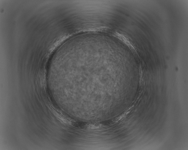 X0000077330346200611031736