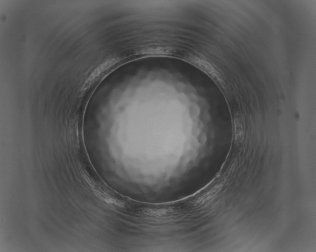 X0000077330349200611031736