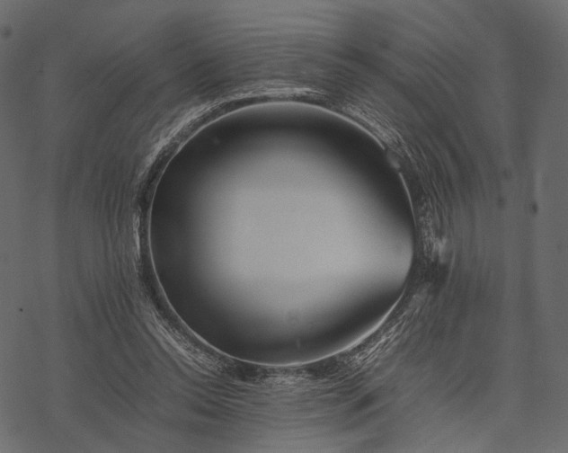 X0000077330350200611031736