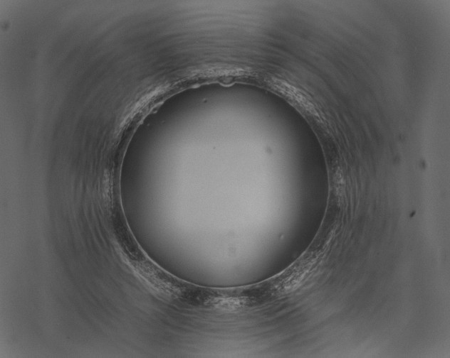 X0000077330352200611031736