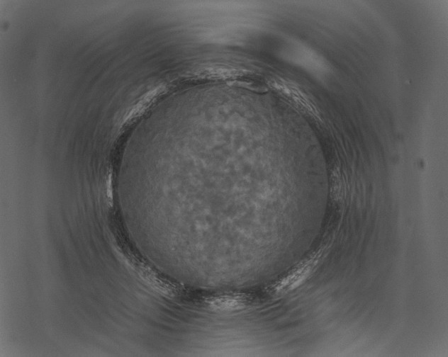 X0000077330358200611031736