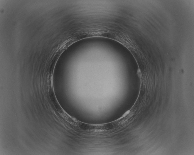 X0000077330360200611031736