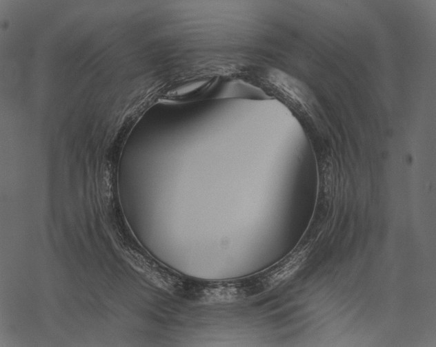 X0000077330362200611031736