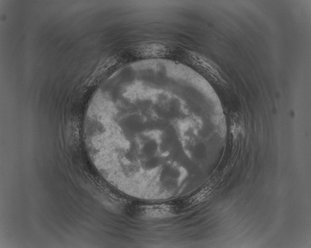 X0000077330363200611031736