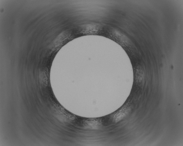 X0000077330370200611031736
