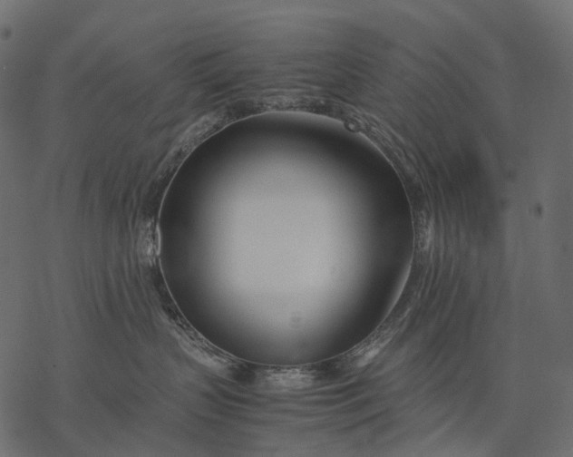 X0000077330383200611031737