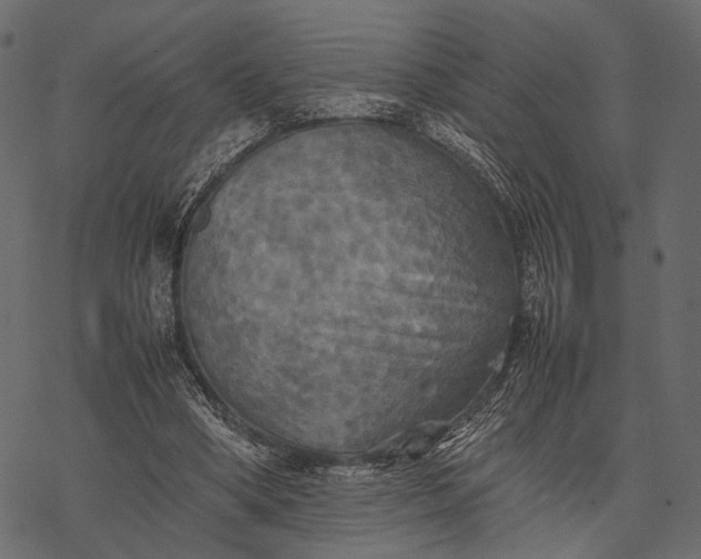 X0000077330394200611031736