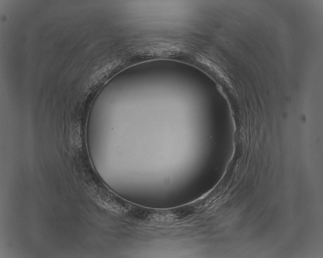 X0000077330403200611031736