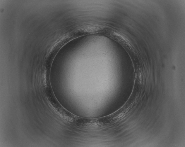 X0000077330404200611031735