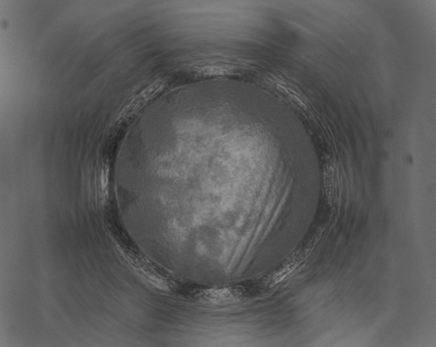 X0000077330406200611031735