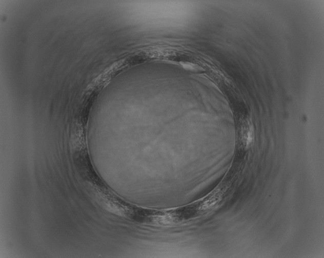 X0000077330411200611031735