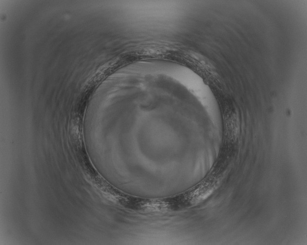 X0000077330415200611031735