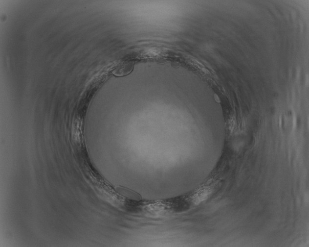 X0000077330423200611031735