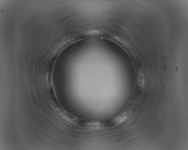 X0000077330428200611031735