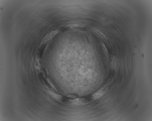 X0000077330430200611031735