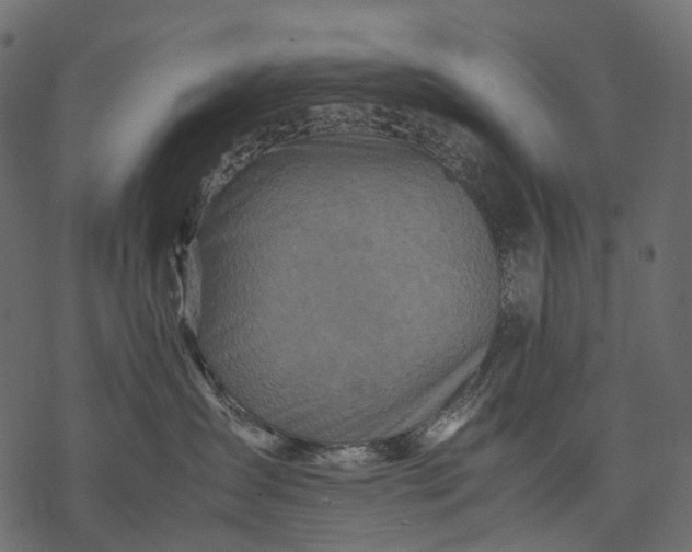 X0000077330431200611031735
