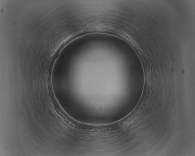 X0000077330434200611031734