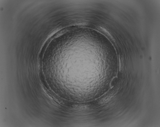 X0000077330435200611031734