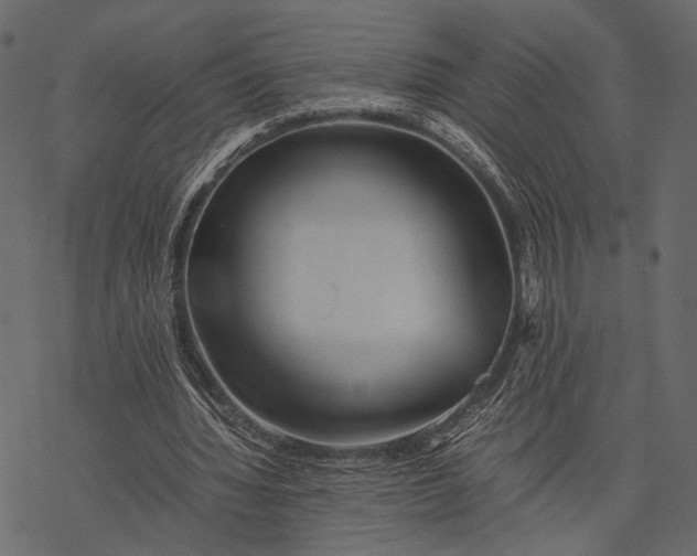 X0000077330436200611031734