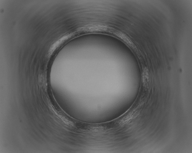 X0000077330438200611031734